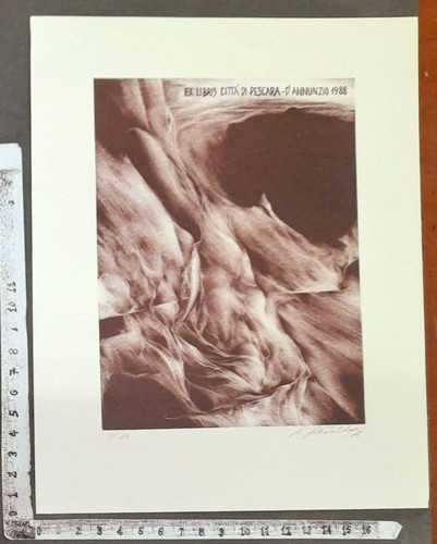 Wunderkammer exlibris 415 - wunderkammer,