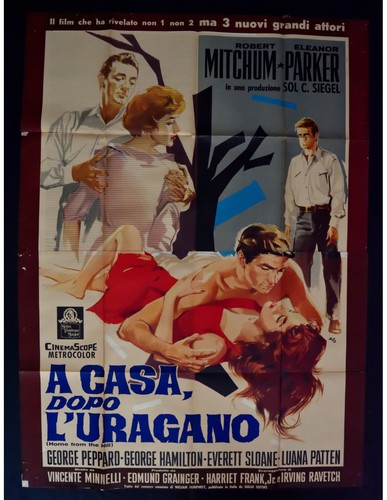Poster casa dopo uragano - poster, l'uragano