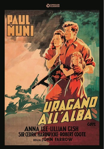 Uragano all alba - uragano, all'alba
